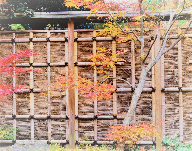 シンフォニックガーデン秋の竹垣　画像