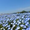 残春の陽気に誘われて