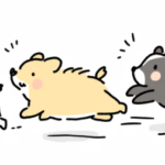 師走！ダッシュで駆け抜けます((((ｏﾉ´3｀)ﾉ