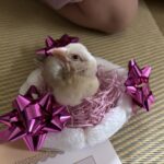 2026年もよろしくお願いいたします。