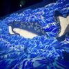 涼しい場所で楽しむ夏