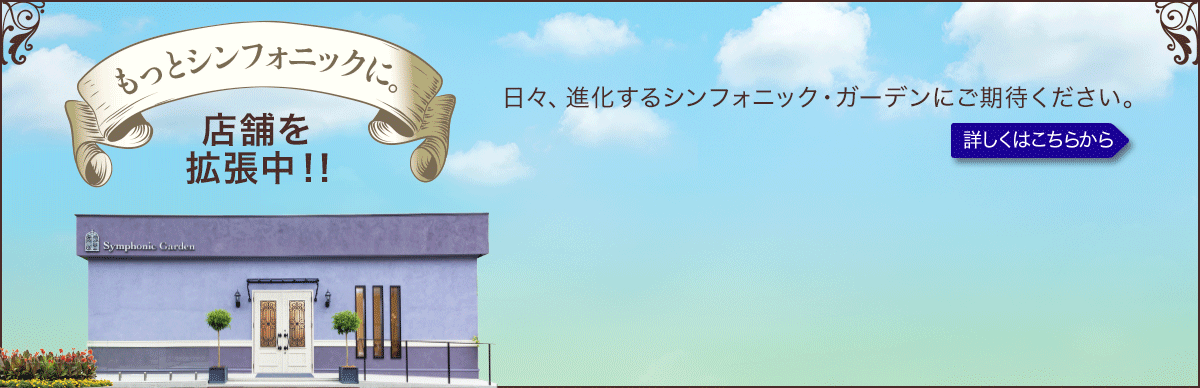 店舗拡張中!へ