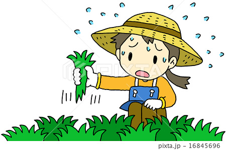 景観を損なわずに雑草対策