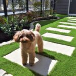 駐車スペースの有効活用