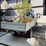 伐根を行いました～現場だより～