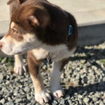 お庭の悩み承ります♪